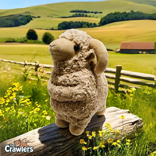 The Crawlers™ Wool Sheep Plush Toy – 14 Inch Fluffy Sheep Soft Toy for Kids & Gifting (35cm)