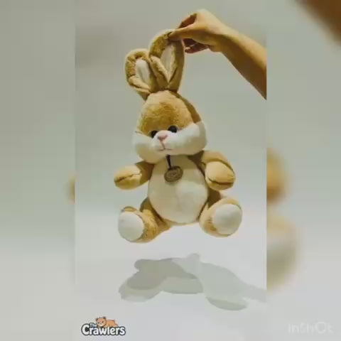 The Crawlers™ Bugs Bunny Plush – 14 Inch Soft Bunny Toy for Kids & Gifting (35cm)