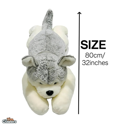 The Crawlers™ Lying Husky Plush Toy – 32 Inch (80cm) Soft Sleeping Dog Pillow for Kids & Gifting