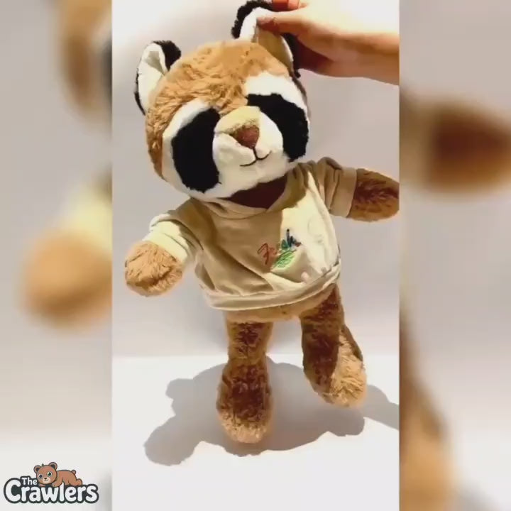 The Crawlers™ Raccoon Plush Toy – 20 Inches (50cm) with “Fresh” Sweat – Cuddly Gift for Kids, Toddlers & Gifting